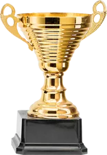 OUR AWARDS - 斗球
